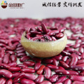 Dark Red Kidney bean 2015 crop HPS size 200-220pcs/100g